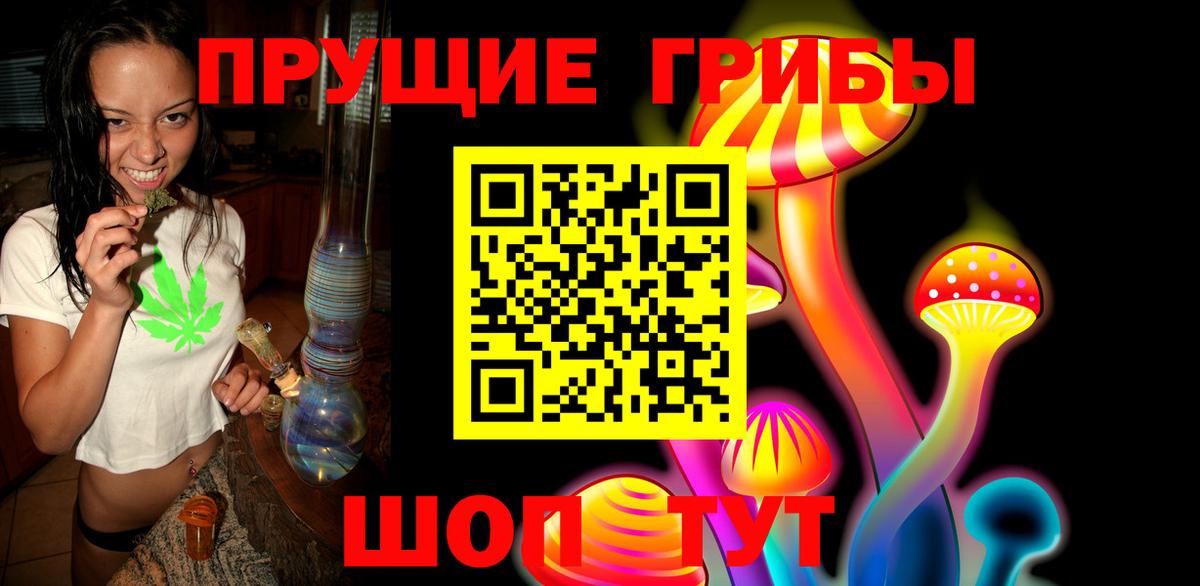 Псилоцибиновые грибы Cubensis Усть-Илимск