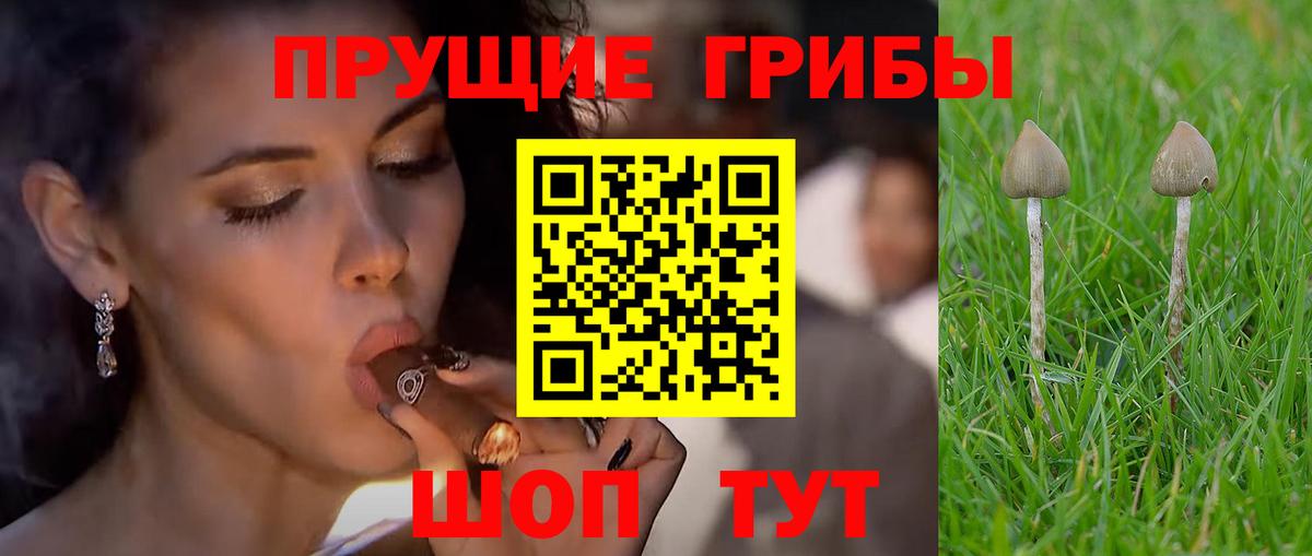 Галлюциногенные грибы MAGIC MUSHROOMS  Вход с VPN  Галлюциногенные грибы прущие грибы  Усть-Илимск 