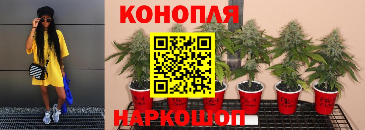 Бошки Шишки White Widow  Вход с VPN  Марихуана конопля  Канабис SATIVA & INDICA  Марихуана LSD WEED  Усть-Илимск 